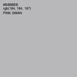 #B8B8BB - Pink Swan Color Image